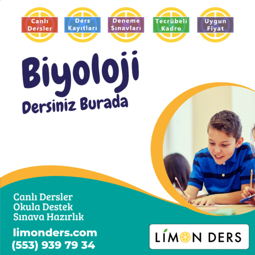10 Ders Ücreti (Özel Dersler) - Görsel 3